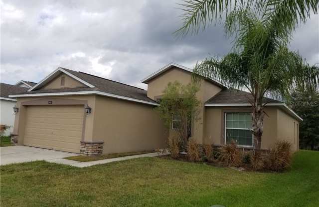 2813 YOUNGFORD STREET - 2813 Youngford Street, Meadow Woods, FL 32824