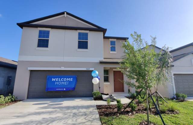 31665 Barrel Wave Way Wesley Chapel, FL 33545 photos photos