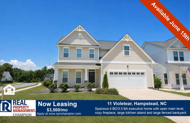 4 BD/3.5 BA plus Bonus Room with Open Floorplan and Fenced Back Yard photos photos