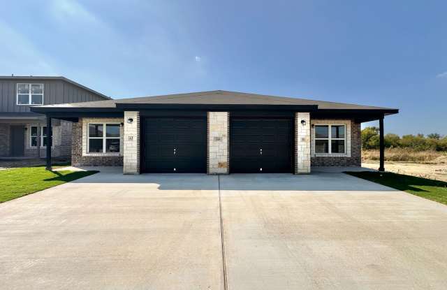 218 B Dolphin photos photos