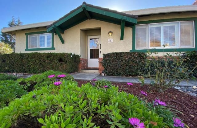 847 East Dana St. - 847 East Dana Street, Mountain View, CA 94041