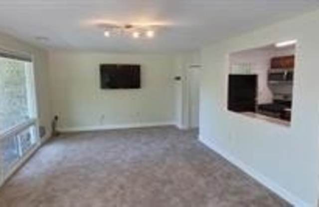 541 WILSON BRIDGE Drive photos photos