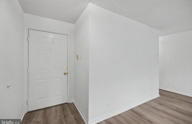 12102 GREEN LEAF CT #201 Gallery 3