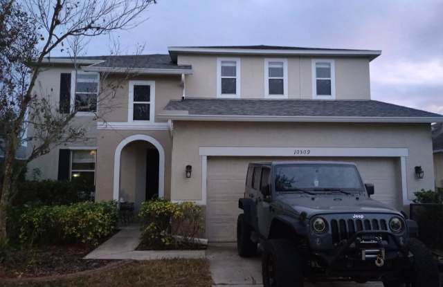 10509 Early Light Court - 10509 Early Light Court, Riverview, FL 33578