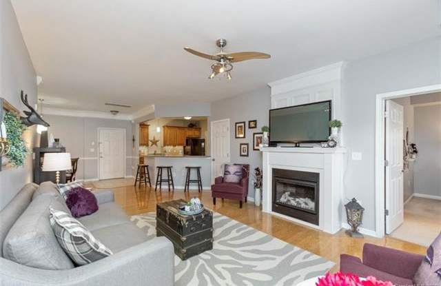 14337 San Paolo Lane - 14337 San Paolo Ln, Charlotte, NC 28277
