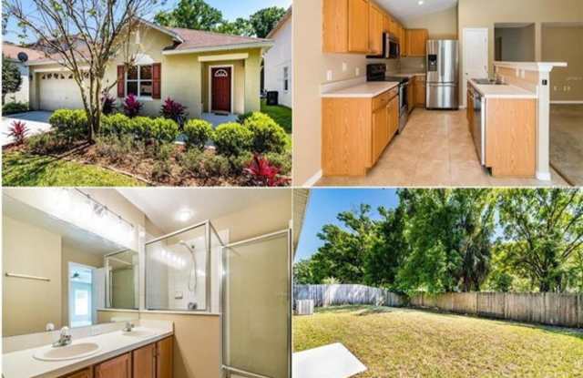 10615 Dawns Light Drive - 10615 Dawns Light Drive, Riverview, FL 33578