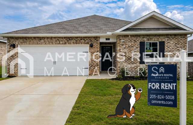 New Construction Home for Rent! photos photos