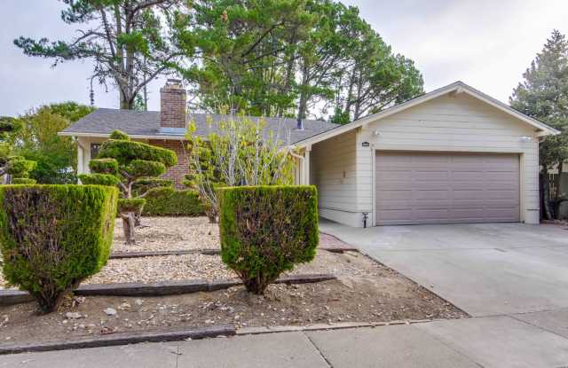 Awesome San Bruno Home! - 670 Skyline Boulevard, San Bruno, CA 94066