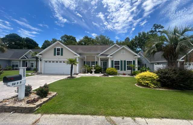 1225 Ambling Way Dr - 1225 Ambling Way Drive, Horry County, SC 29579