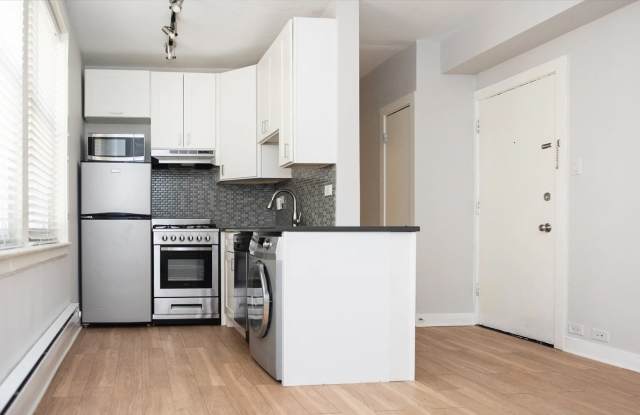 511 W Belmont Ave - 511 West Belmont Avenue, Chicago, IL 60657