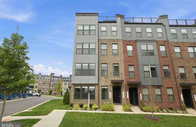 44481 WOLFHOUND Square photos photos
