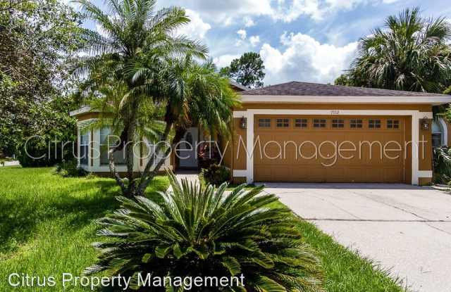 7932 Virginia Pine Court - 7932 Virginia Pine Court, Orange County, FL 32825