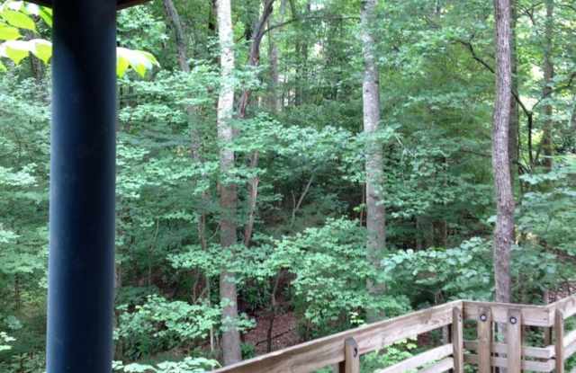1 Bed Apartment super close to UNC campus! Quiet neighborhood  feels like living in a Tree House! photos photos
