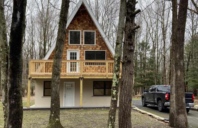 241 Pine Tree Drive photos photos
