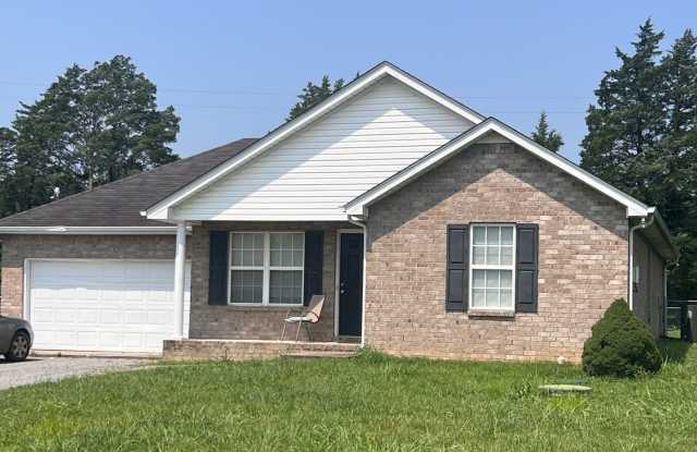 Large Living Room  Kitchen! - 2037 Barretts Ridge Drive, Rutherford County, TN 37130