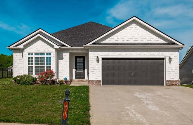 905 Frog Gip Pond Ct. photos photos 905 Frog Gip Pond Ct. photos photos