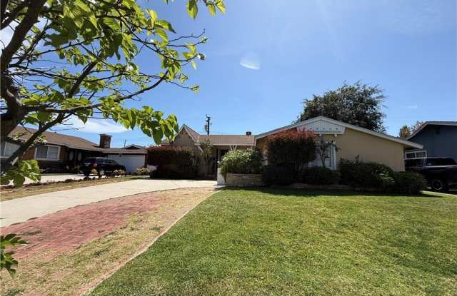 14528 Bora photos photos