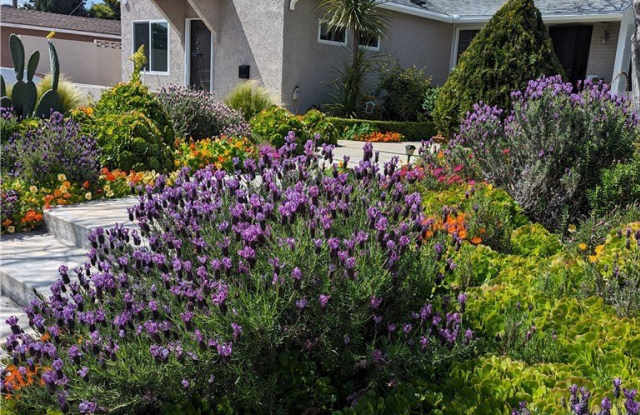 1211 N Maple photos photos