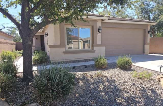 1541 West Crape Road - 1541 West Crape Road, Pinal County, AZ 85140