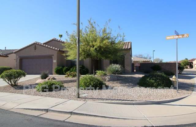 19176 N Tamarisk Flower Way - 19176 North Tamarisk Flower Way, Surprise, AZ 85387