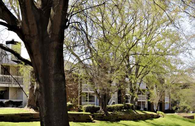 Creekside Canopy photos photos
