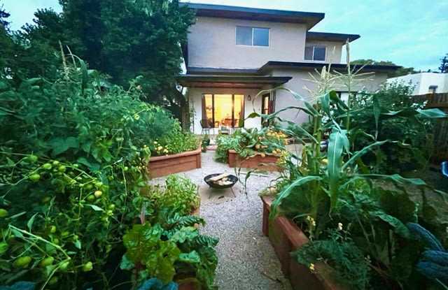 849 Don Diego Avenue photos photos 849 Don Diego Avenue photos photos