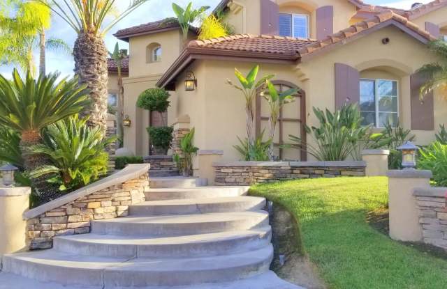Solar/Pool/Spa/Water fall BBQ outdoor Pizza oven- Professional landscaper/ Pool tech included photos photos