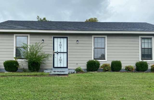 3319 Kristy photos photos