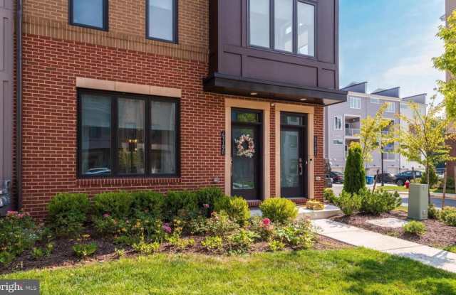 43190 MONGOLD Square Gallery 1