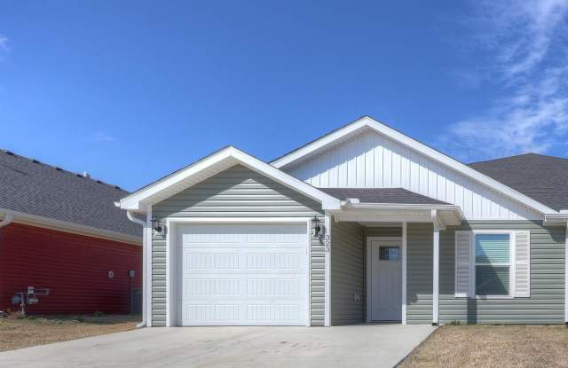 323 Alex Jordan Drive - 323 Alex Jordan Drive, Duenweg, MO 64801