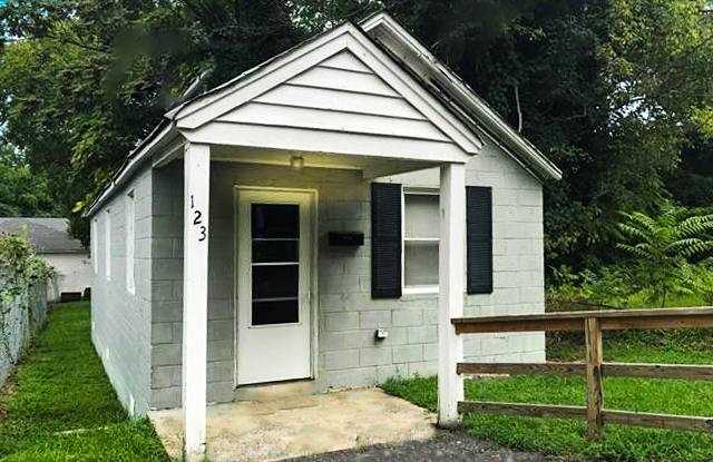 123 Spruce St - 123 Spruce Street, Petersburg, VA 23803