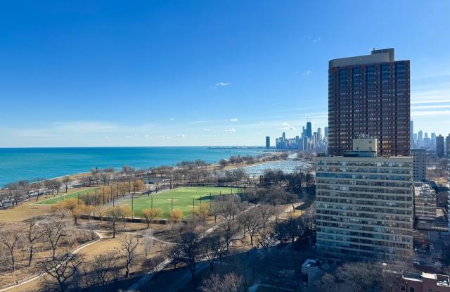3100 N Lake Shore Drive Gallery 2