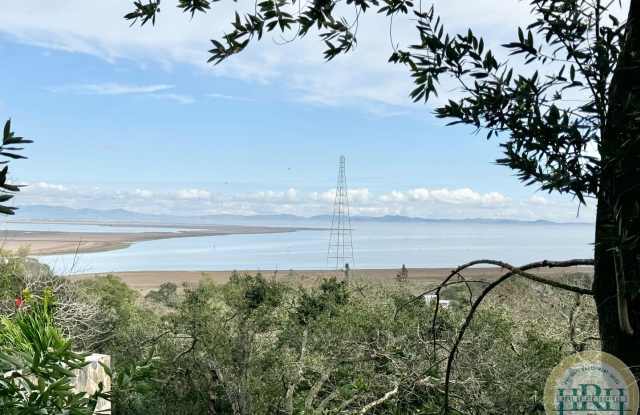 Sun Drenched 2BR | 1 BA House in East Novato with Stunning Views - 220 Grandview Avenue, Black Point-Green Point, CA 94945