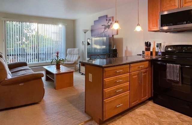 Just landing in the East Bay? Fully Furnished Resort 1 Bdrm. condo available on a short or long term basis photos photos