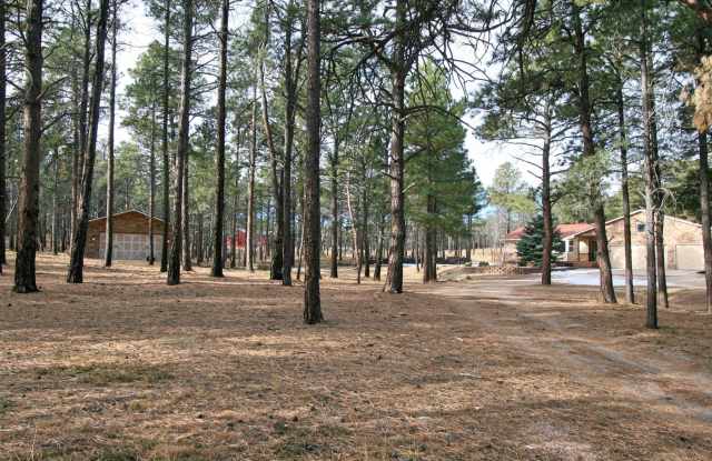 Beautifully Updated Black Forest Rancher on 5 Acres! Gallery 3