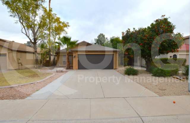 169 South Criss Street - 169 South Criss Street, Chandler, AZ 85226