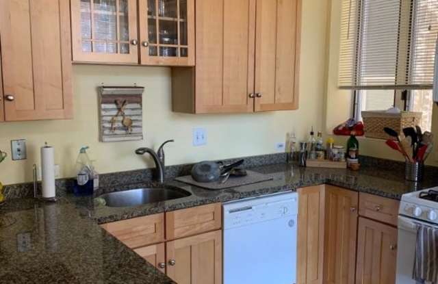 1043 W Webster Ave 1 - 1043 West Webster Avenue, Chicago, IL 60614