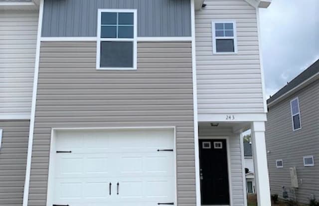 243 Gum Swamp Trail - 243 Gum Swamp Trl, Lexington County, SC 29169