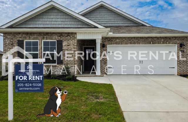 New Construction Home for Rent! Gallery 1