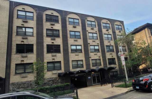 541 West Briar - 541 West Briar Place, Chicago, IL 60657