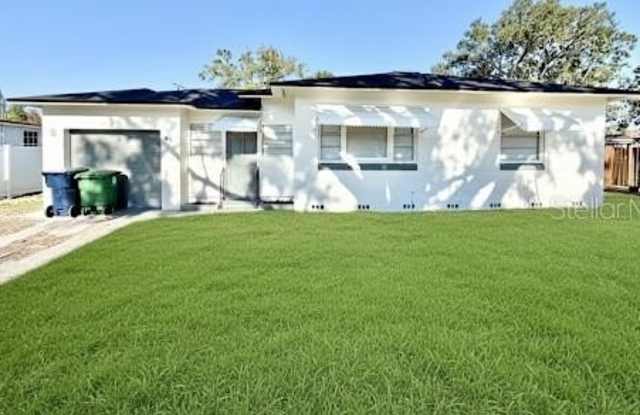 1017 W BLANN DRIVE - 1017 West Blann Drive, Tampa, FL 33603