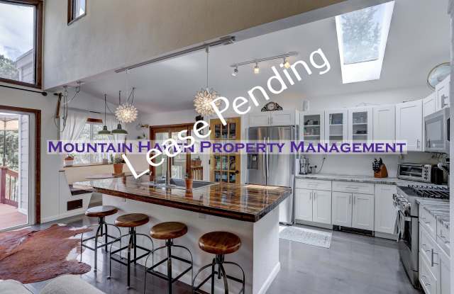 134 Elk Way - 134 Elk Way, Clear Creek County, CO 80452