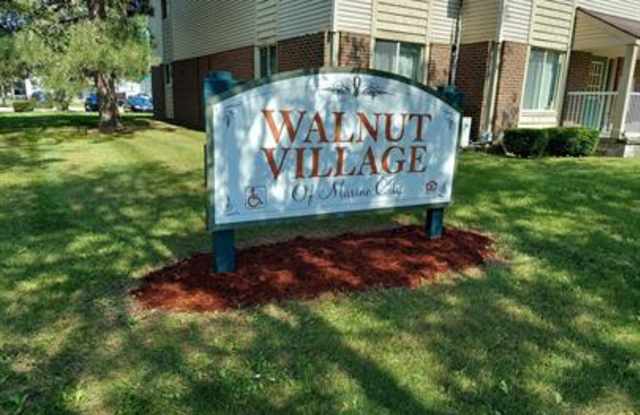 225 Elizabeth #5E - 225 North Elizabeth Street, Marine City, MI 48039