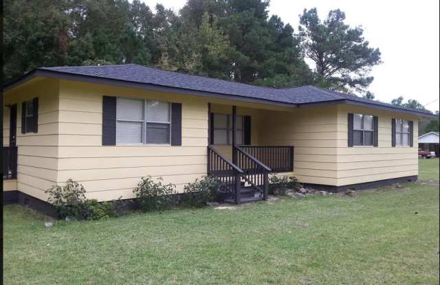 516 Goldensand Lane - 516 Goldensand Lane, Berkeley County, SC 29461