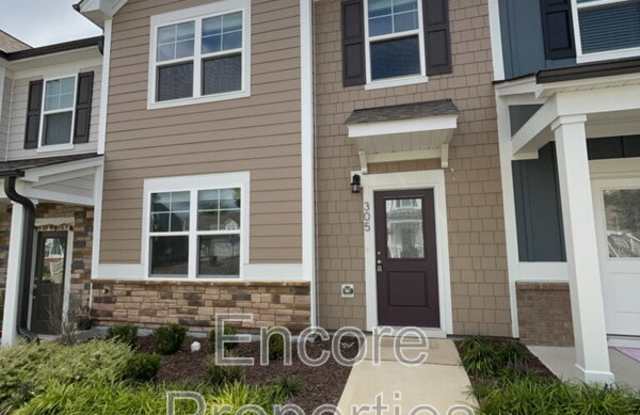 305 Ribbon Rail Street photos photos