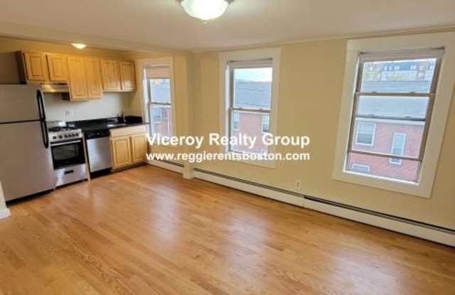 16 Mitchell St. - 16 Mitchell Street, Boston, MA 02127