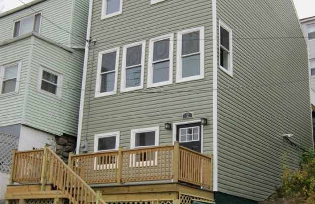 Large Luxurious House complete with large deck over looking Down Town Pittsburgh - 6 Brosville Street, Pittsburgh, PA 15203