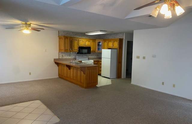 GREAT LOCATION! NICE 2 BEDROOM 2 BATH IN JOPLIN-$1200 RENT-$1200 DEPOSIT Gallery 4