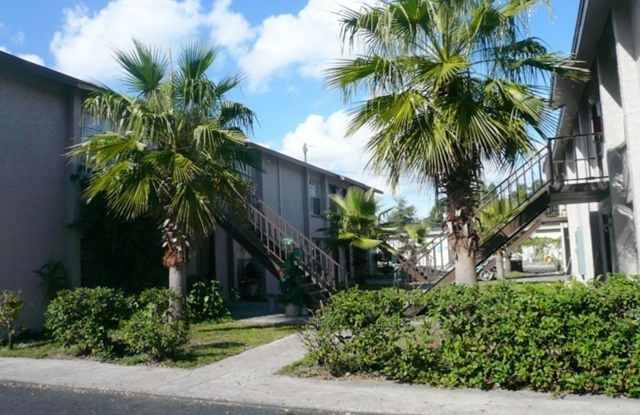 Baywatch Apartments- Five Minutes Driving from USF photos photos