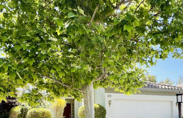 9761 Floweret Avenue - 9761 Floweret Avenue, Las Vegas, NV 89117